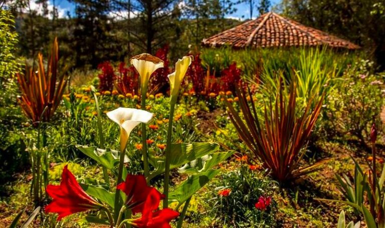 Gaia Sagrada Ayahuasca Retreat Center - Safeceremonies