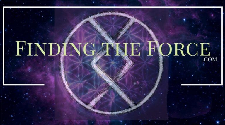 102556935 1864270773710366 6261902894875299358 n 768x427