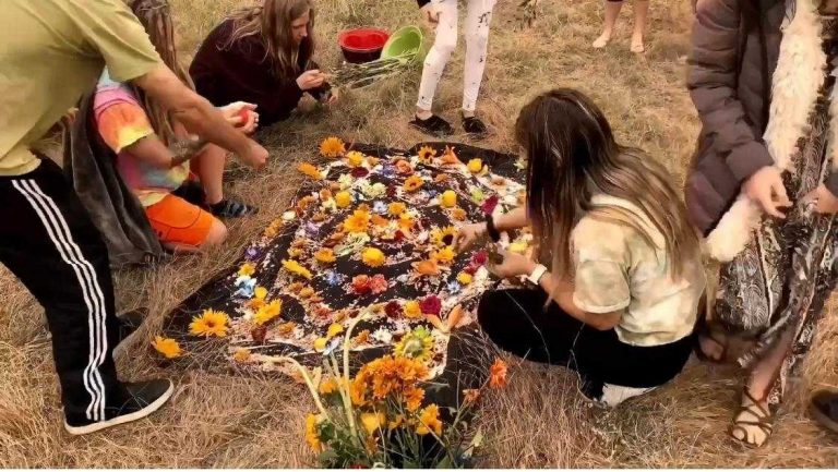 IMG 20201027 WA0002 768x433