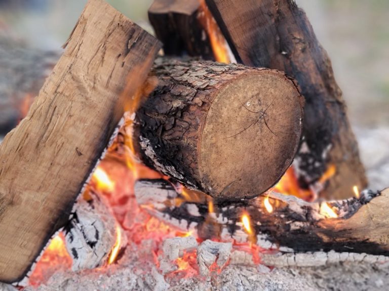 IMG 20210614 104117 025 768x576