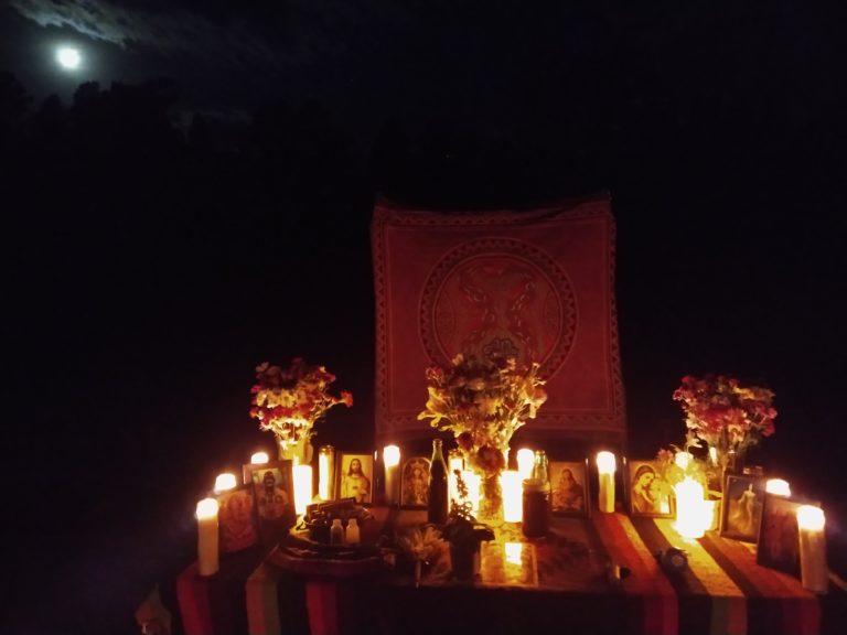 IMG 20210618 235431197 768x576