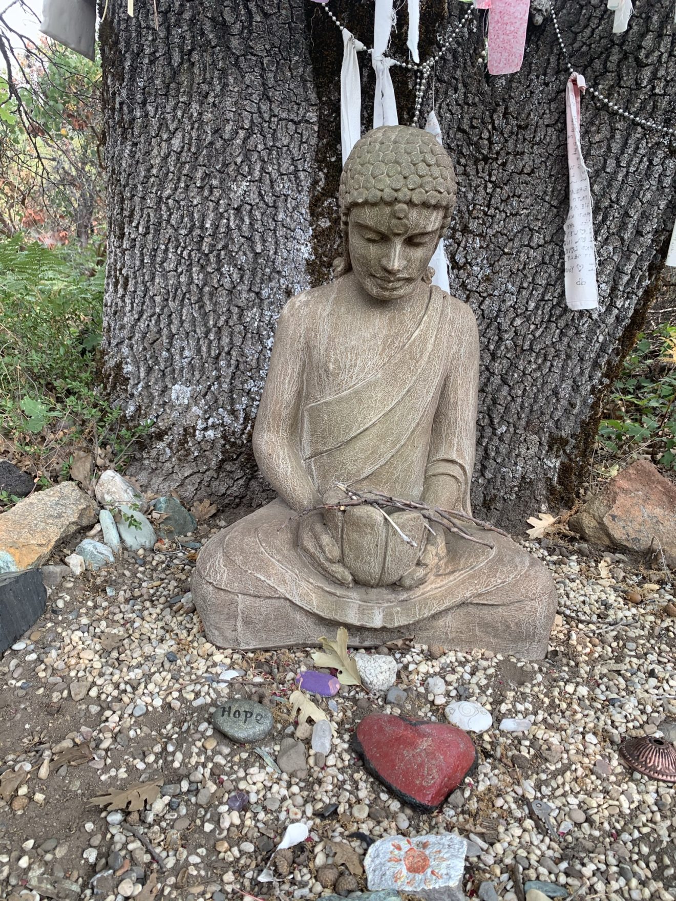 Hummingbird Church Nevada Safeceremonies