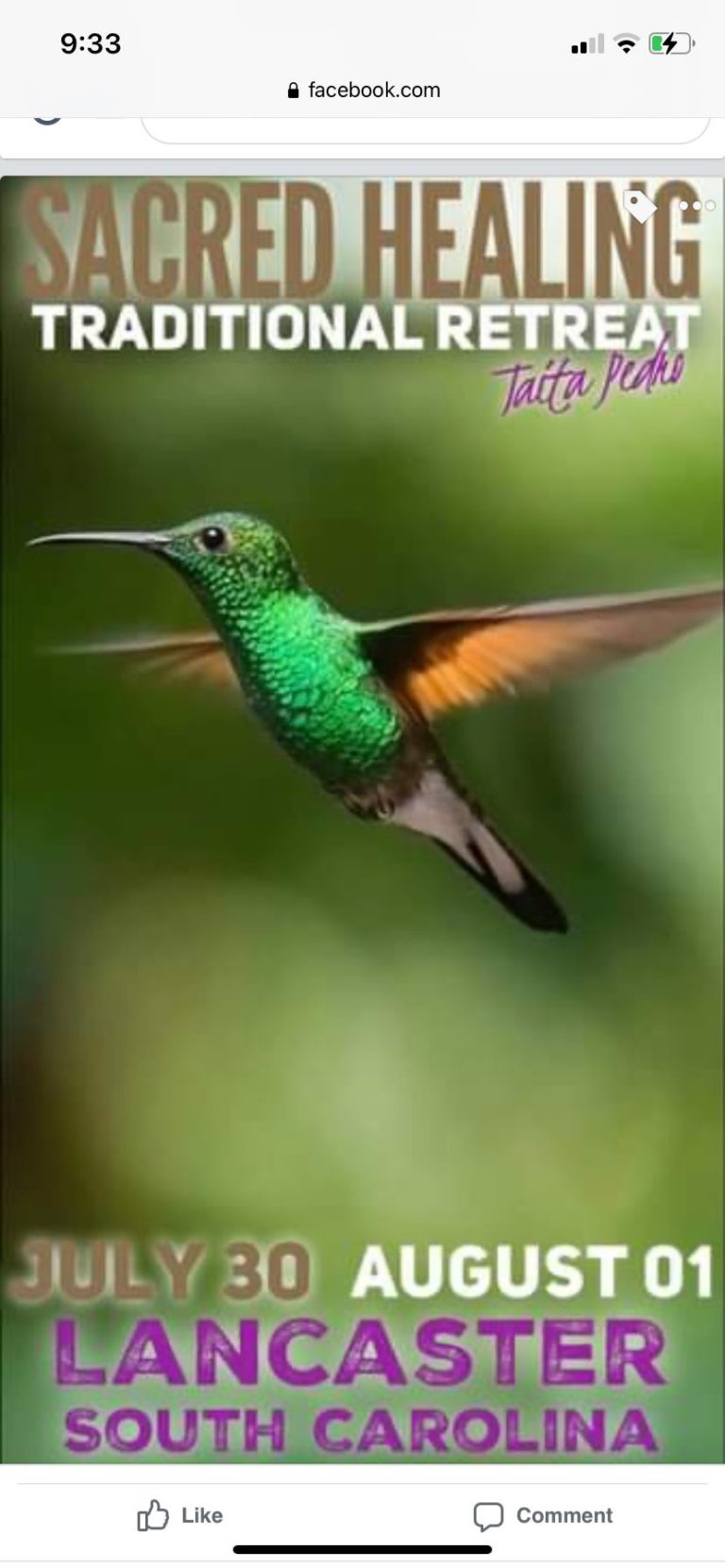 220115791 513505176545101 6754078328187723683 n 768x1662