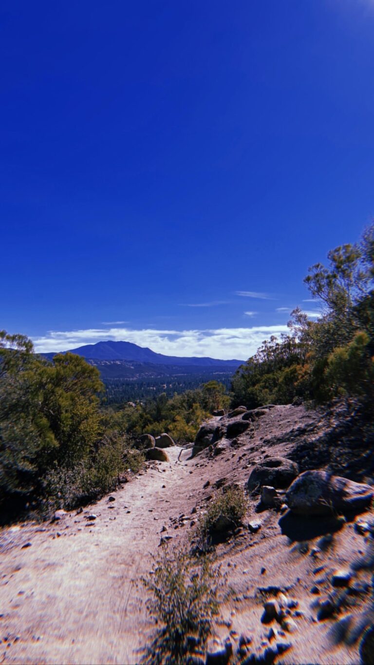 384A0AD7 A7A5 4FC3 BA94 12CA903080A4 768x1365