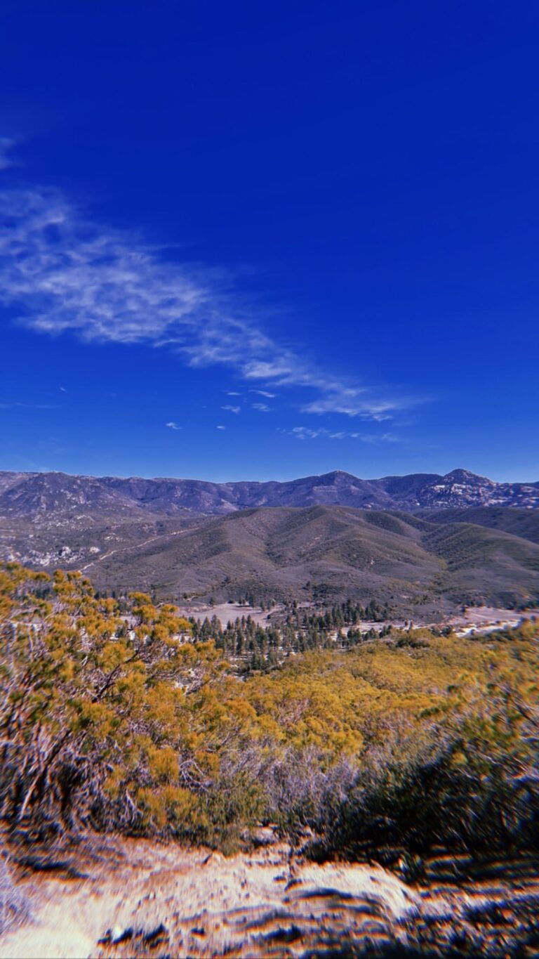 D470FCF7 442F 4FAE 9BFE 3EF2D4E6E4C3 768x1365