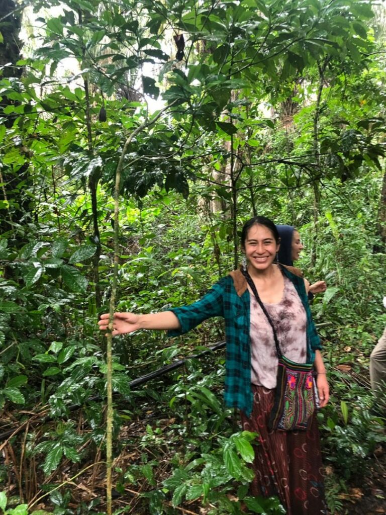 DWSI1668 Large 768x1024