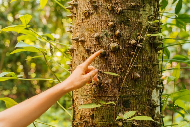 ELI05901 Large 768x512