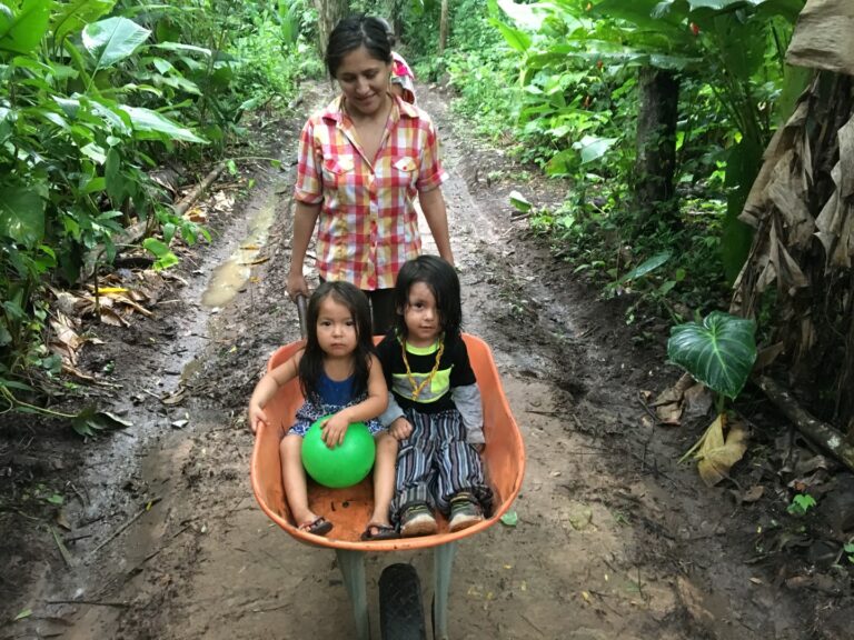 IMG 5120 Large 768x576