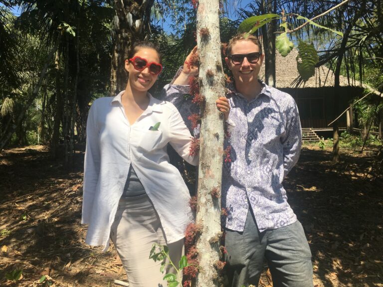 ultimo Large 768x576