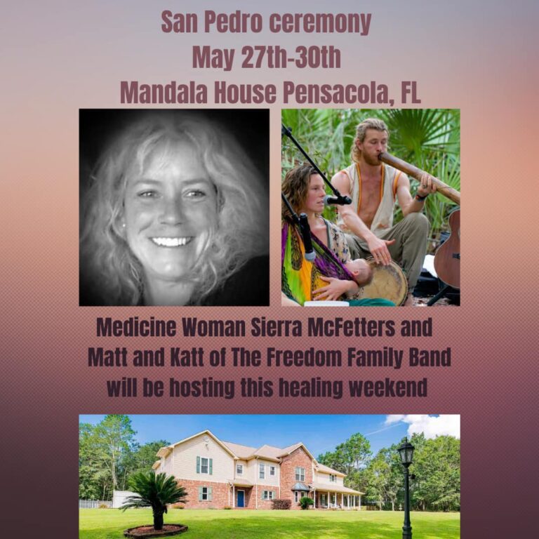 284100675 318715690430599 4420976615839894252 n 768x768