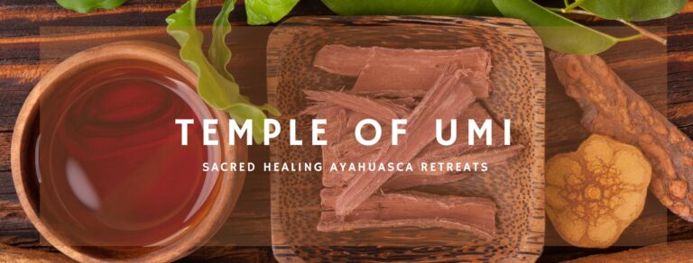 131034500 121793159752067 5702934081605427766 n 768x292