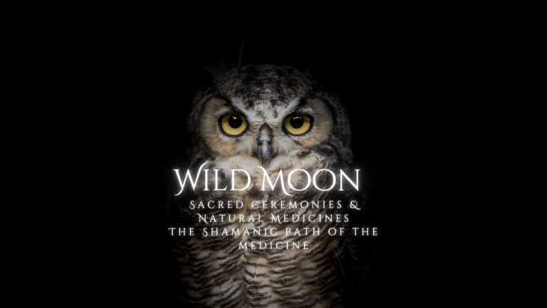 287205689 5215838758492626 5139080318794239651 n 768x432