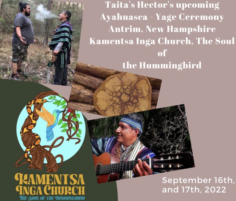 6C8D664F 7E54 4C2E BDD7 2EF233B94845 768x656