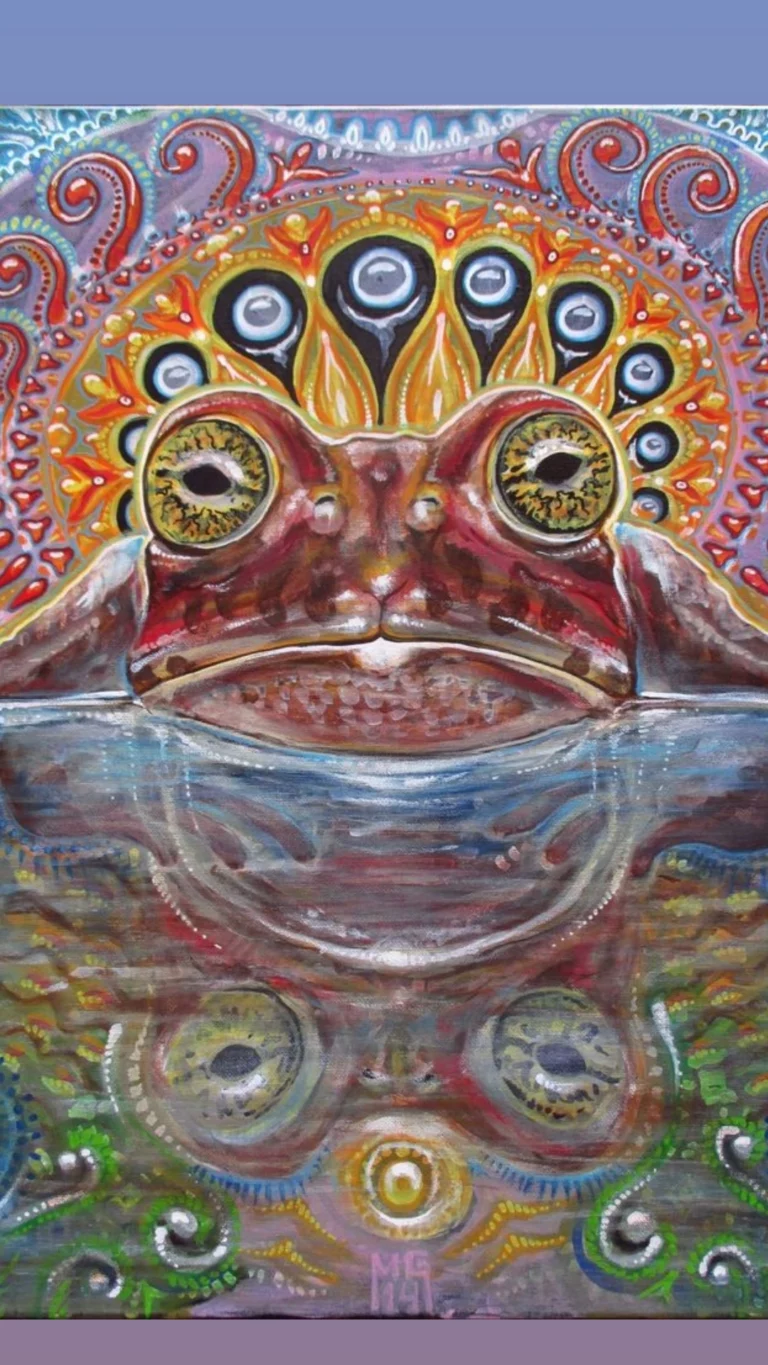 IMG 20220806 131758 169 768x1365