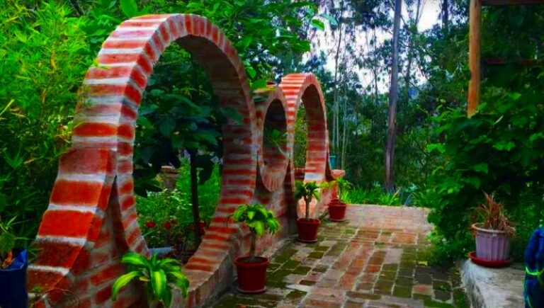 circles brick gaia sagrada b 768x435