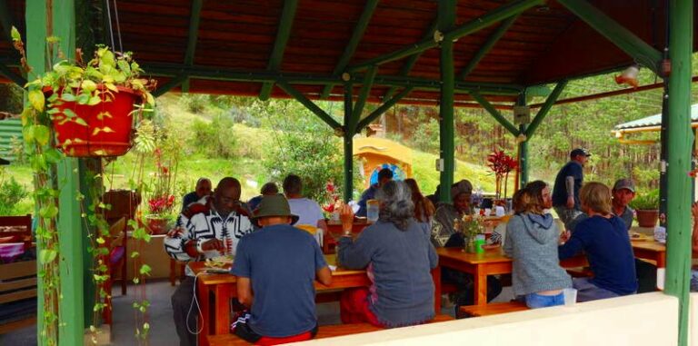 dining gaia sagrada b 768x381