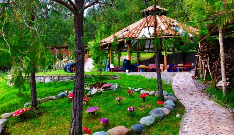 fairy mushrooms gaia sagrada b 768x443