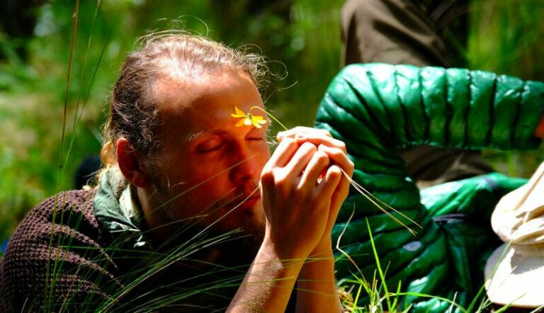 flower smell gaia sagrada b 768x442