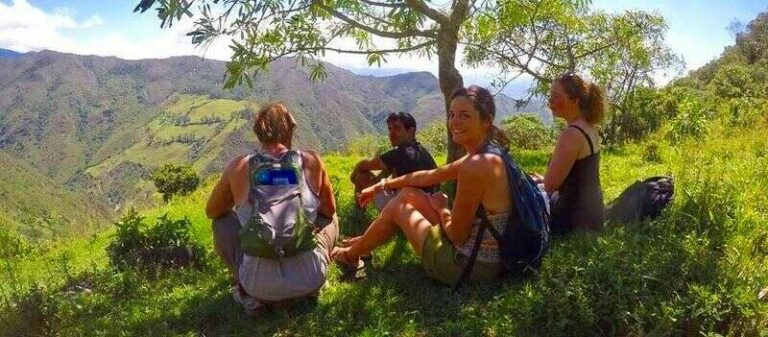 gaia sagrada activity 2c 768x337