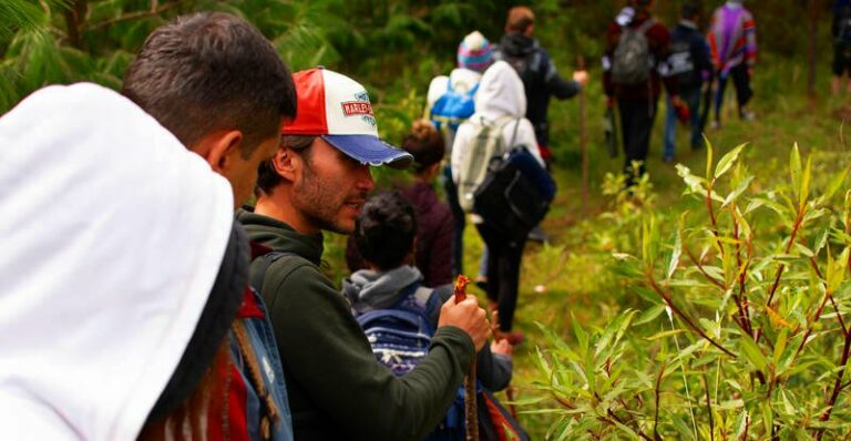 hiking gaia sagrada b 768x398