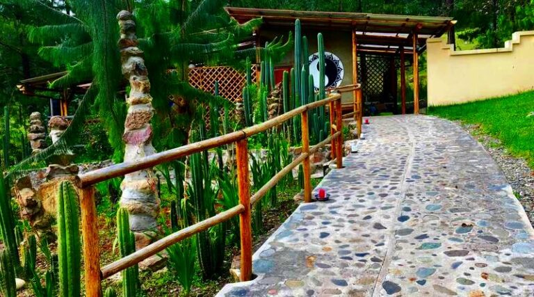 maloka kitchen day gaia sagrada b 768x427