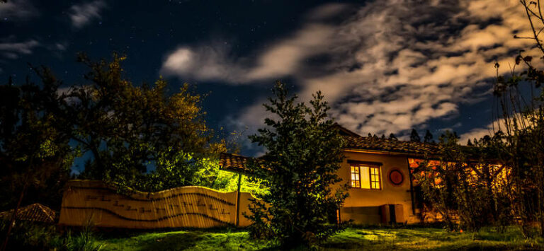 night gaia sagrada 768x355