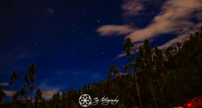 night sky trees gaia sagrada b 768x411