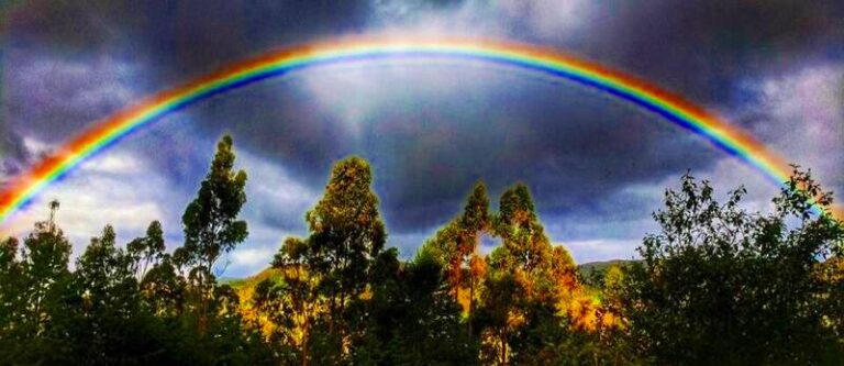 rainbow gaia sagrada 2 b 768x333