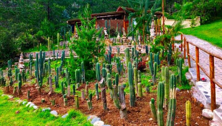 san pedro garden gaia sagrada b 768x437