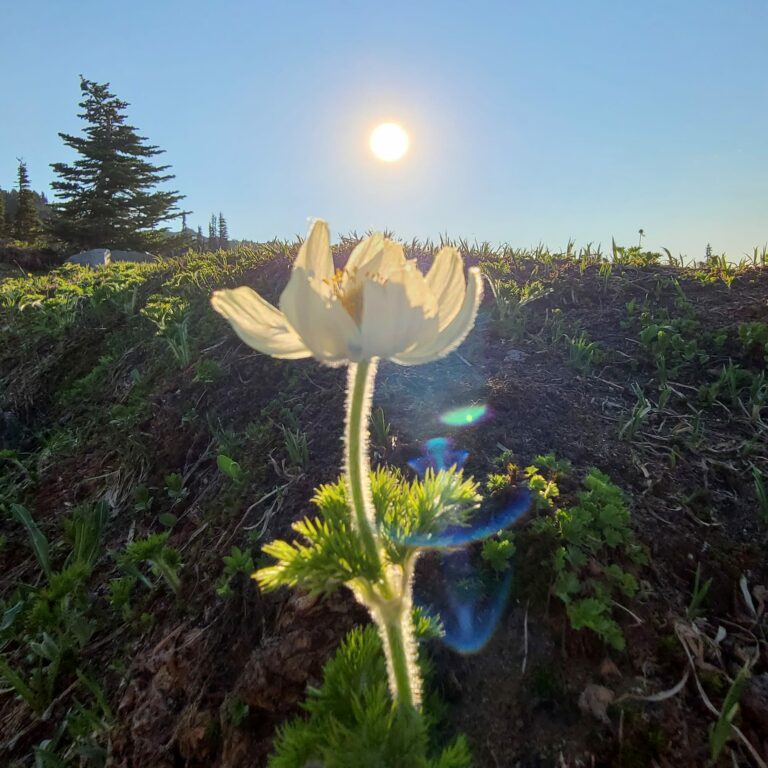 IMG 20220728 122155 079 768x768