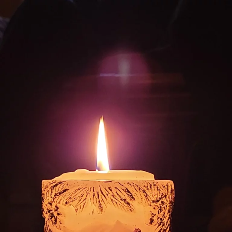 IMG 20221023 195540 483 768x768