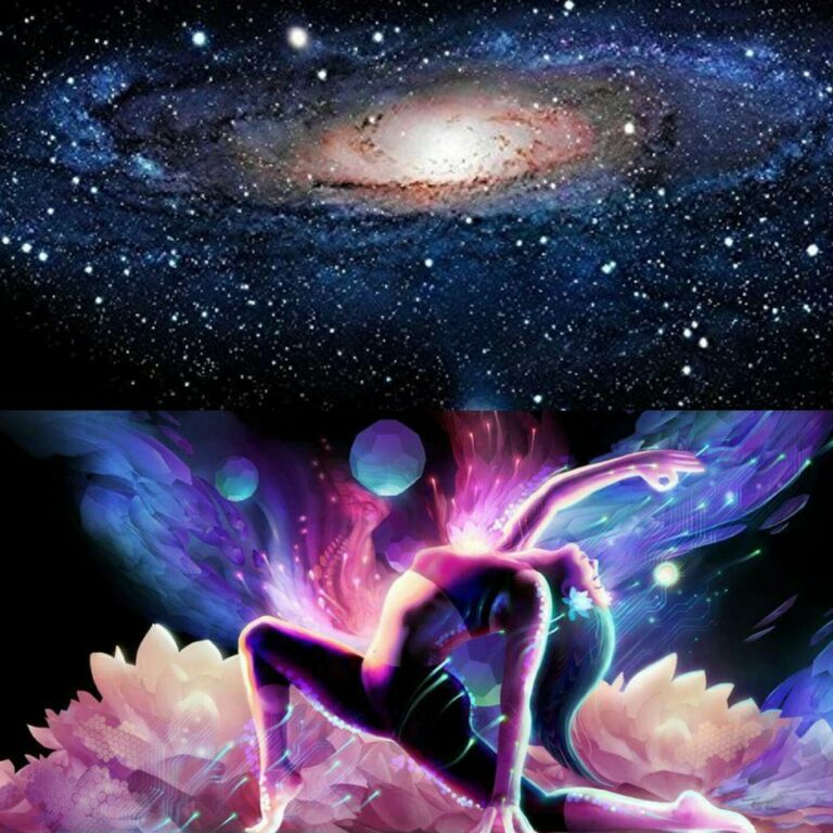 IMG 20221024 165634 030 768x768