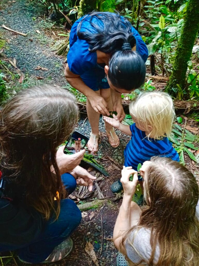 277678382 402536585037653 1715225639983882291 n 768x1024