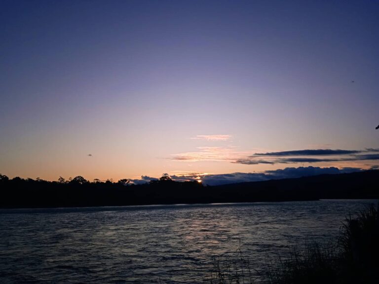 280490384 1488626764873864 8514838687565456951 n 768x576