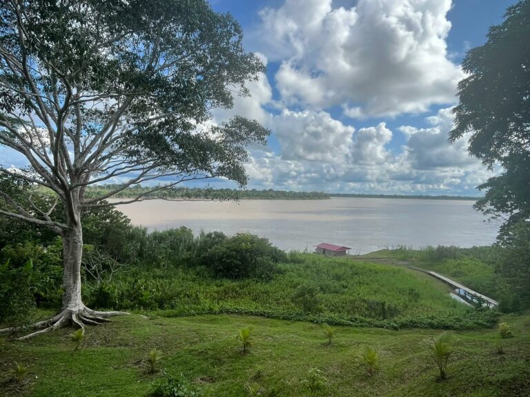 IMG 20230307 WA0029 768x576