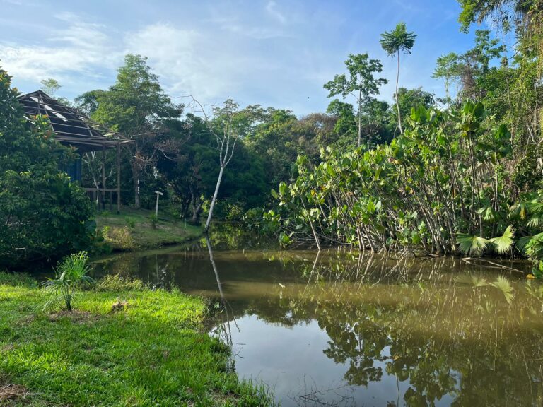 IMG 20230307 WA0030 768x576