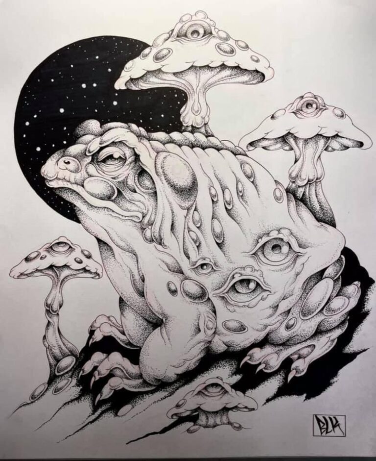 278113791 103451049005020 911544983548181891 n 1 768x940