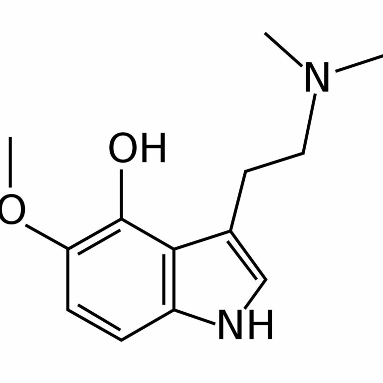 305631934 161394686572816 4766308010452651336 n 768x768