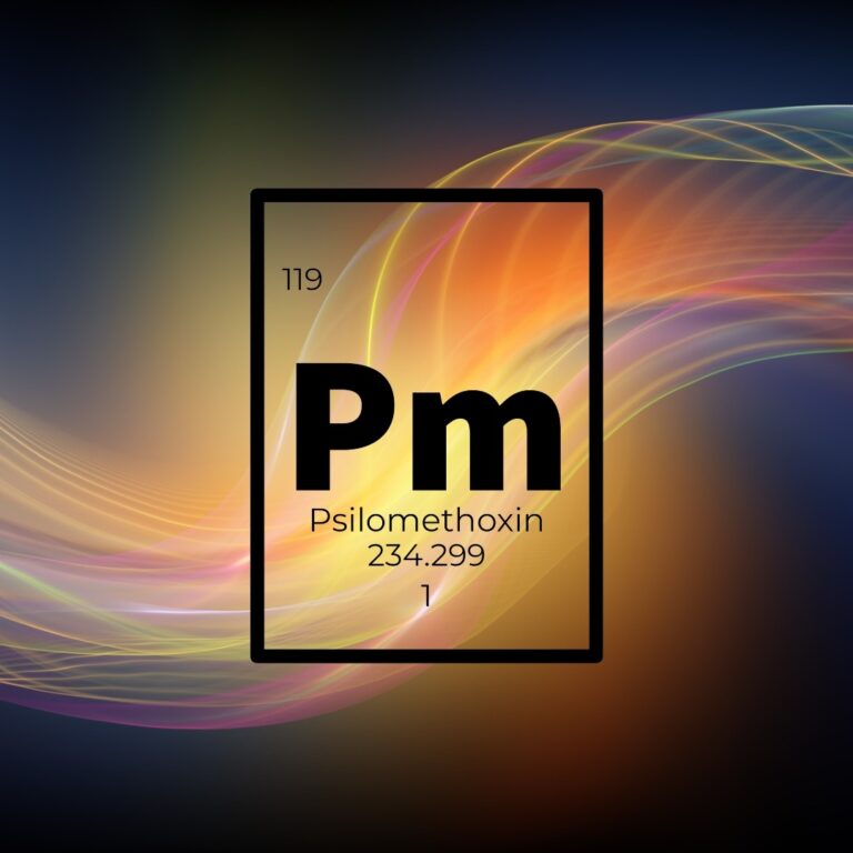 323901548 692670185647439 205901595341851594 n 768x768