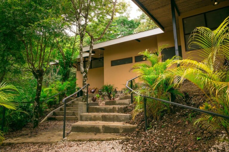 PHOTO 2022 11 12 17 56 42 3 1 768x512