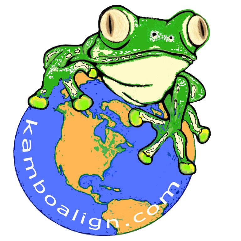frog sticker copyAAA 768x768