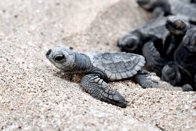 0dcbd594 1aa6 4e65 a4cd 9a86b8cfdf77 768x512