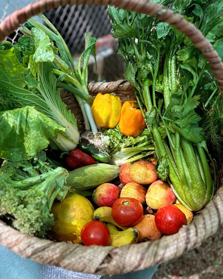 35D7C6C1 E933 4CF1 ABB9 24CA10DDF39B 768x960