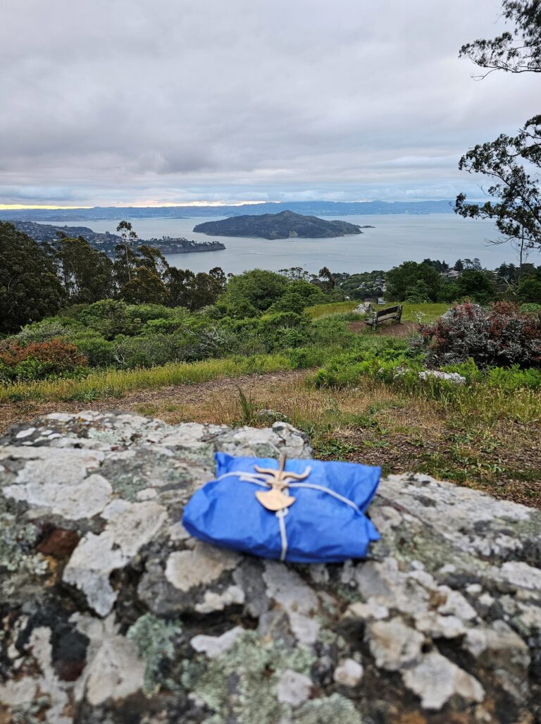 20230505 062643 new 768x1027