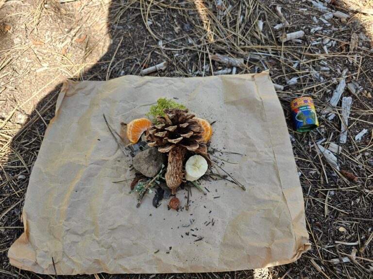 20230915 101047 new 768x576