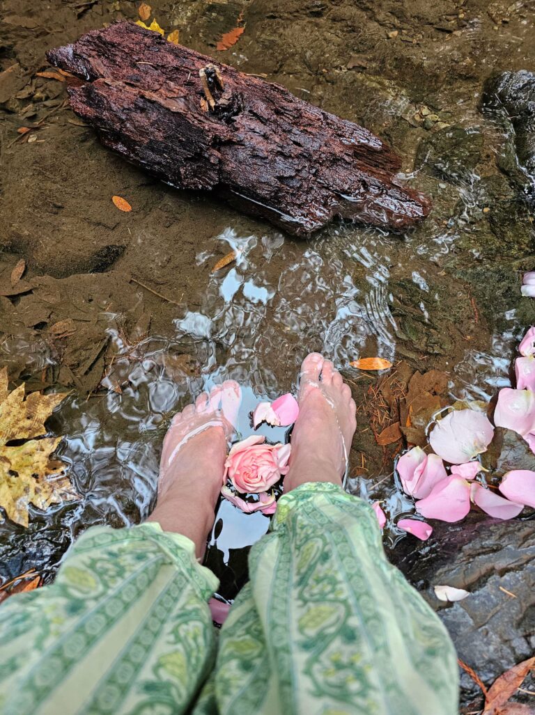 20231109 143646 new 768x1027