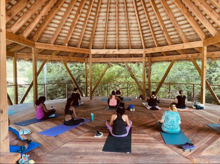 Affinitee Flow Shala 768x575