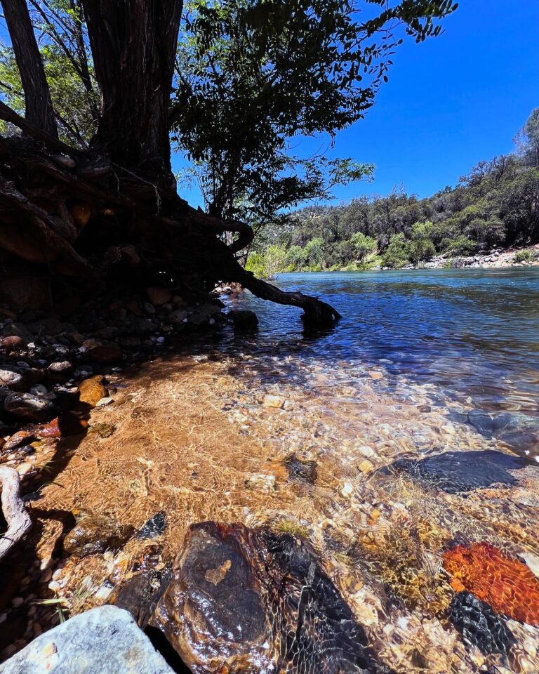 21C05B38 AE9B 4BBE 96E2 E8E3B9824AC6 768x960