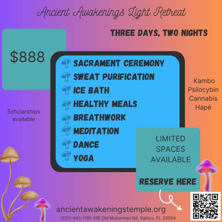 Light Retreat Flyer 1 768x768