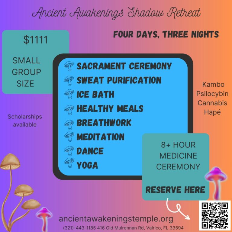 Shadow Retreat Flyer 768x768